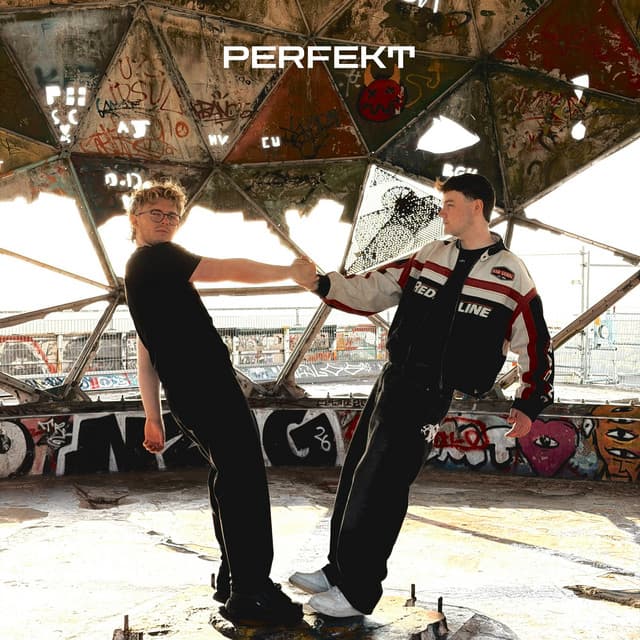 Perfekt by Niklas Dee, Sääftig