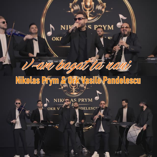 V-am bagat la nani by Nikolas