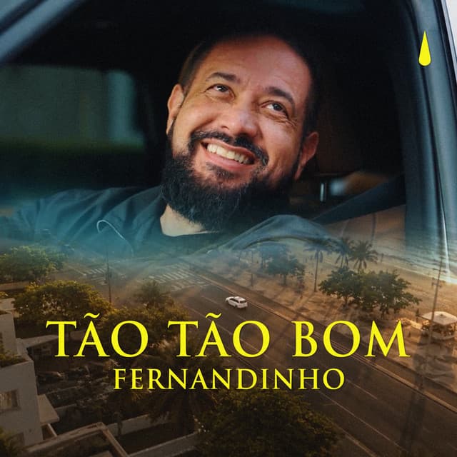 Tão Tão Bom (Estúdio) by Fernandinho