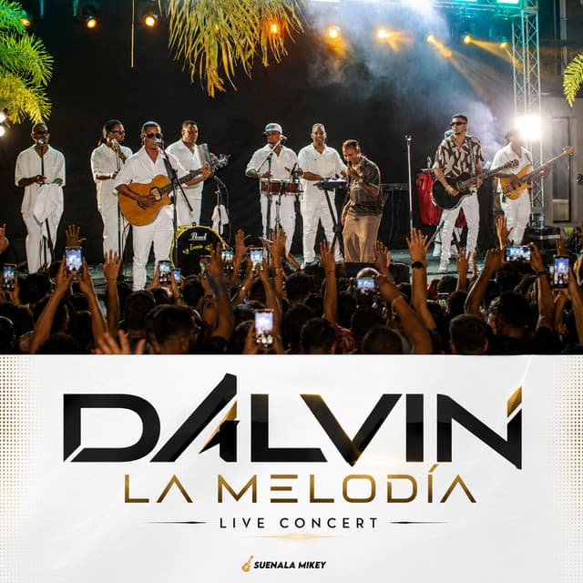 Live Concert by Dalvin La Melodia