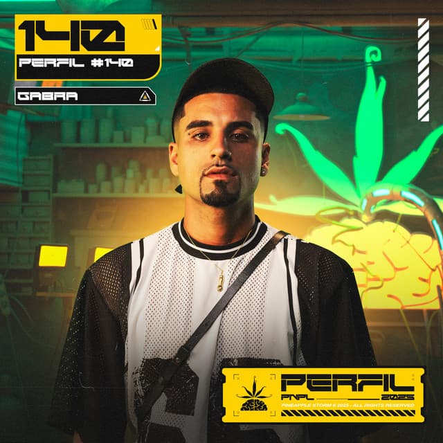 Perfil #140 No fim vai dar tudo certo by Pineapple StormTv, Gabrá, Matteuzin