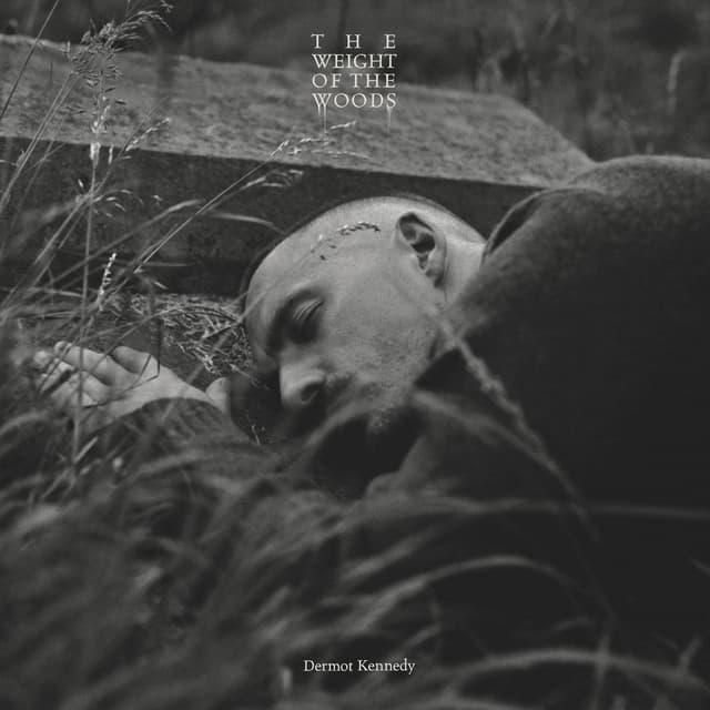 The Weight of the Woods (Extended Edition) by Dermot Kennedy