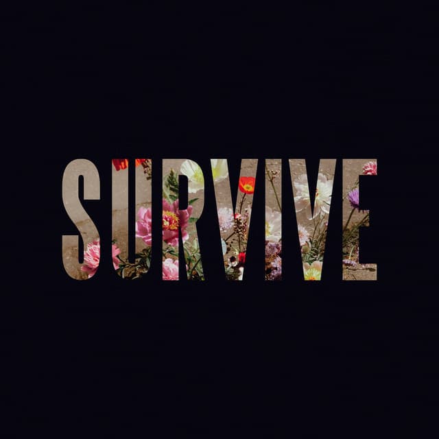 Survive - EP by Lewis Capaldi