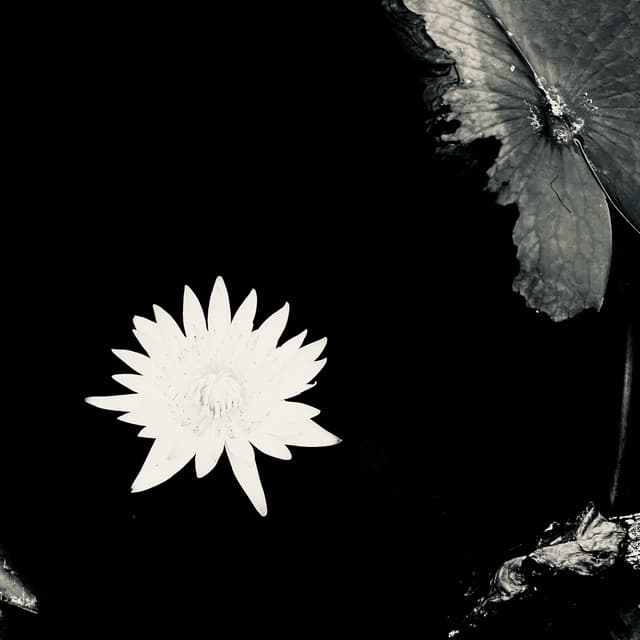 Наоборот by MiyaGi & Endspiel