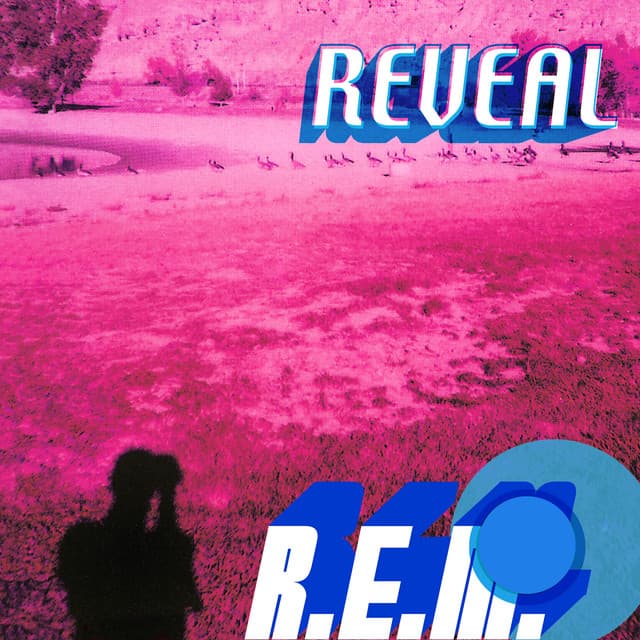 The Great Beyond (Live at the Black Sessions / 2001) by R.E.M.