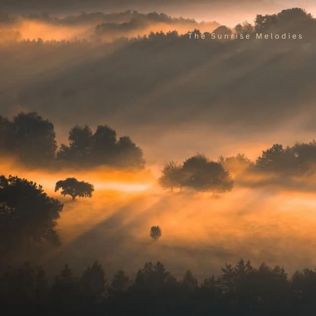 The Sunrise Melodies by Wolfgang Amadeus Mozart, Nox Z, Pyotr Ilyich Tchaikovsky