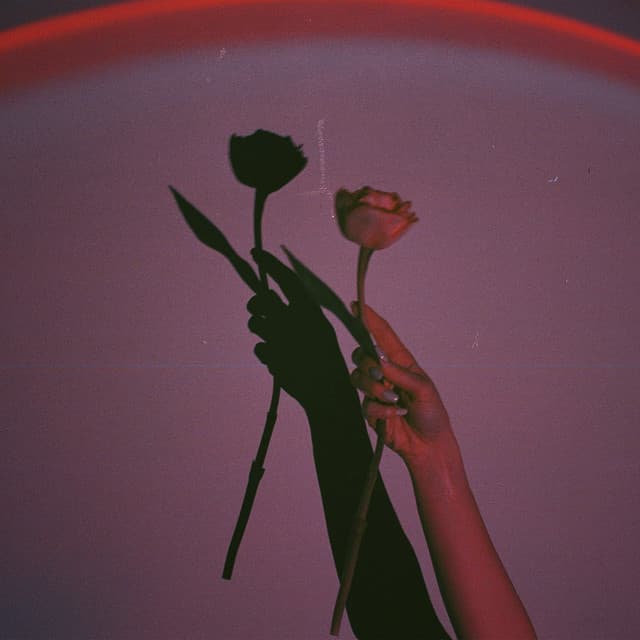 So Innocent by Shiloh Dynasty, Magic Music Record