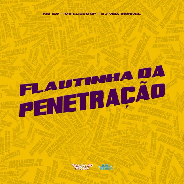 Flautinha da Penetração by Mc Gw, Mc Elison SP, DJ Vida Incrivel