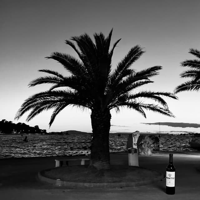 PRIMITIVO REMIXES vol.2 (Remixes) by Ben Cristovao
