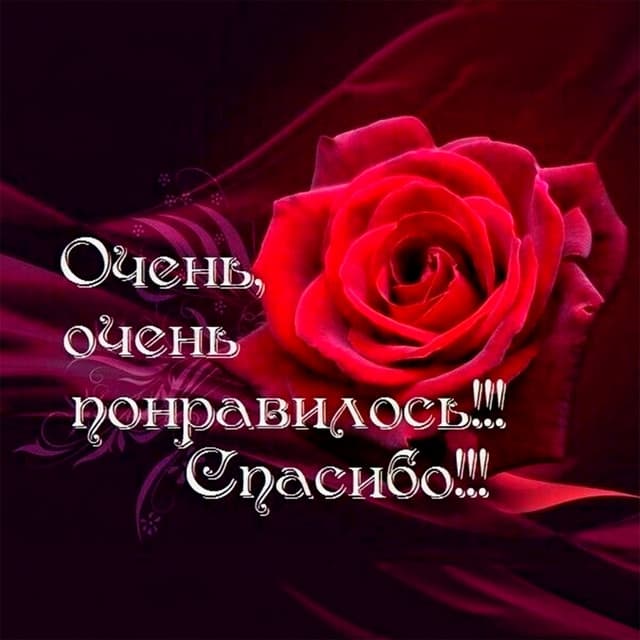 чтобы тронуло by Skryptonite, w140, кухня