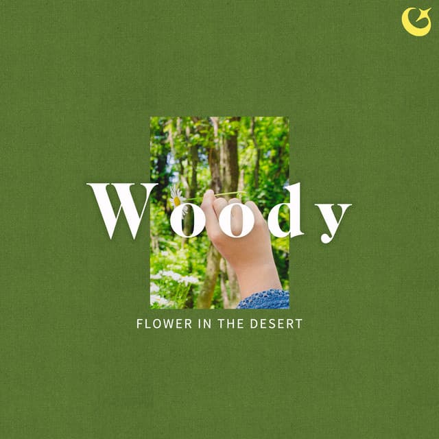 Flower in the desert by Woody