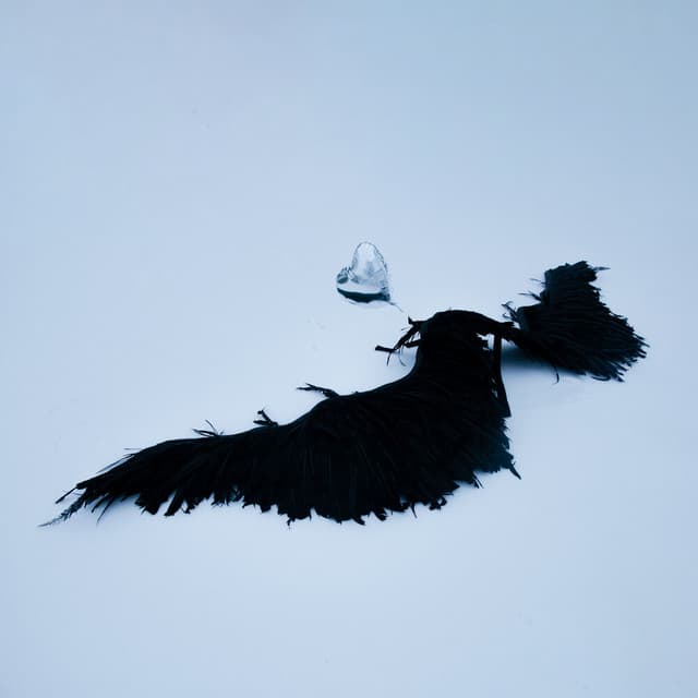 Love You Right (feat. Clara La San) by Montell Fish, Clara La San