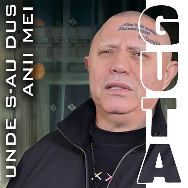 Unde s-au dus anii mei by Nicolae Guta