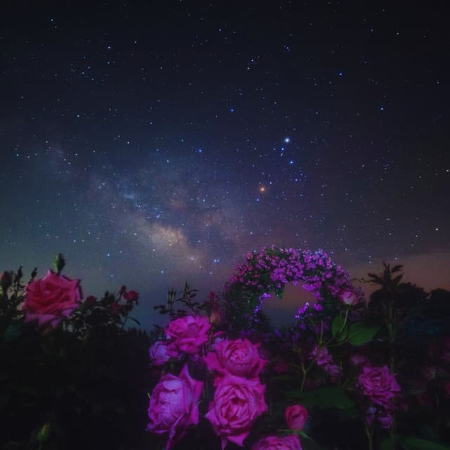 Fly Me To The Moon by Shiloh Dynasty, U-ZAI, DJ MLG