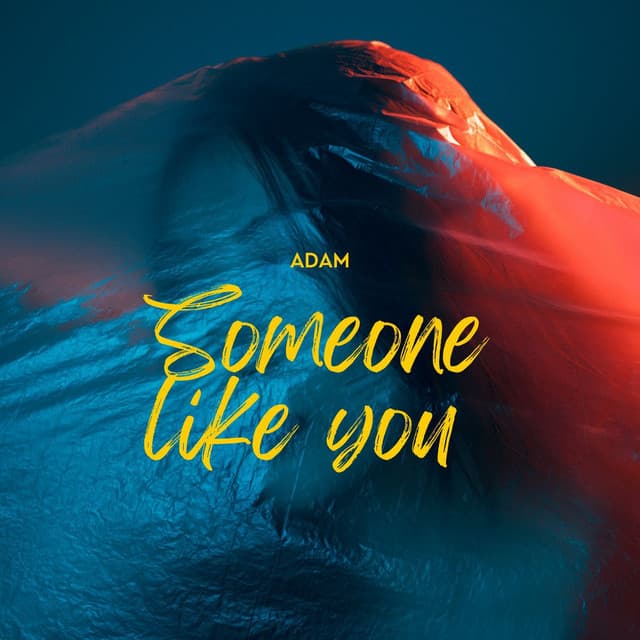 Someone like you by Adam