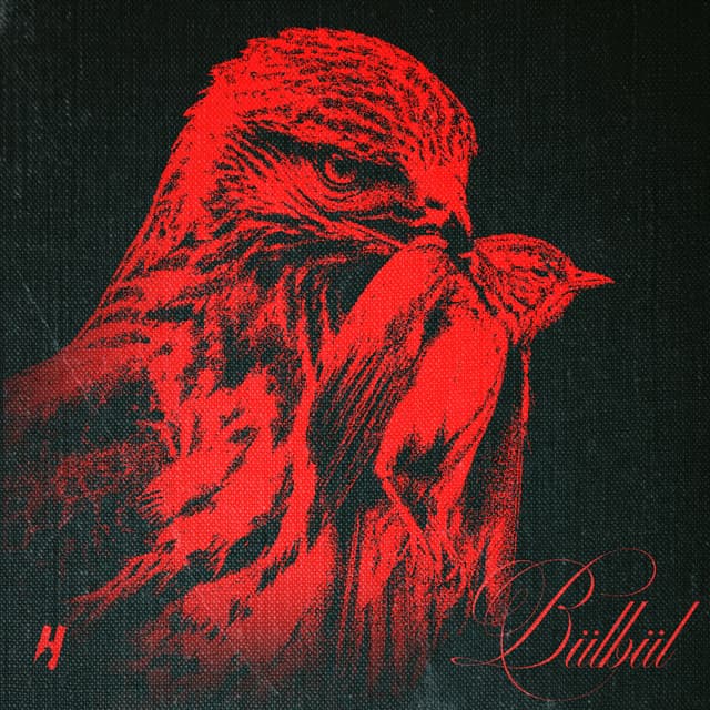 BÜLBÜL by Keskin