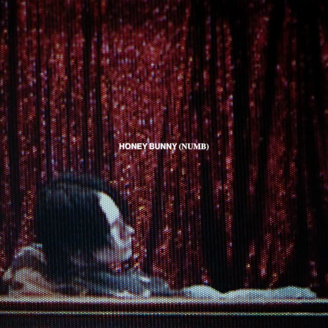 Honey Bunny (Numb) by 9mice