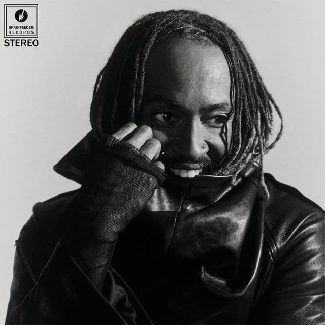 She Knows Too Much by Thundercat