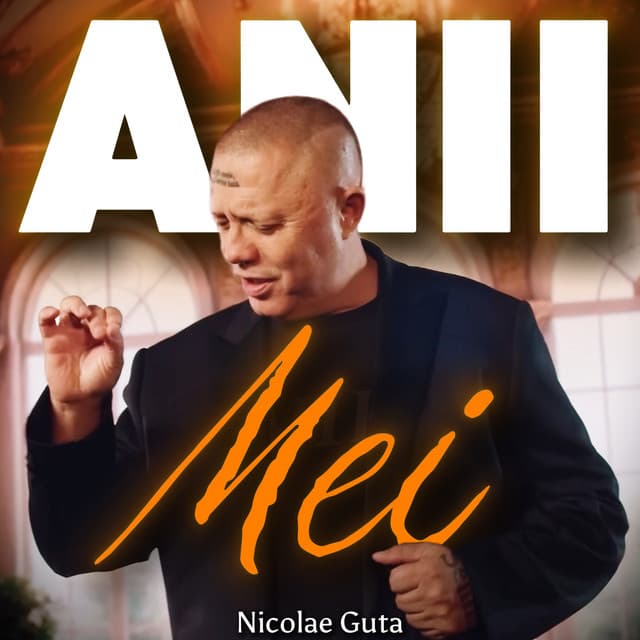 Anii mei by Nicolae Guta