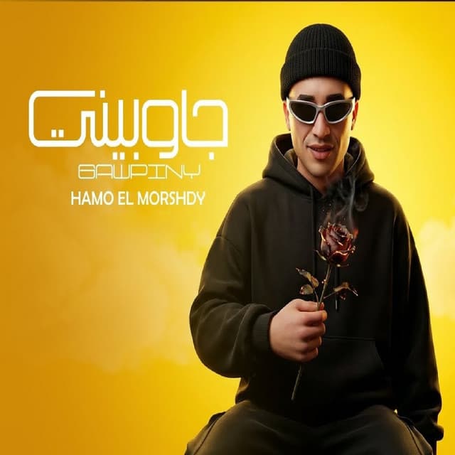 جاوبينى by حمو المرشدي