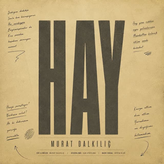 Hay by Murat Dalkılıç