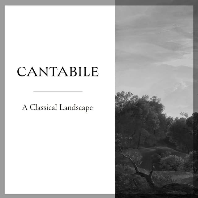 "Cantabile": A Classical Landscape by Johann Sebastian Bach, Frédéric Chopin, Ludwig van Beethoven, Antonio Vivaldi, George Frideric Handel, Joseph Haydn, Franz Liszt, Pyotr Ilyich Tchaikovsky, Wolfgang Amadeus Mozart, Johannes Brahms