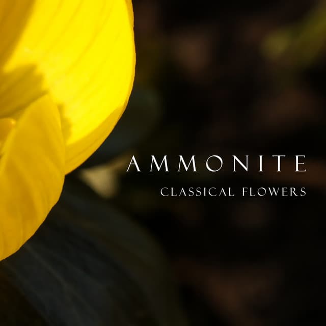 "Ammonite": Classical Flowers by Johann Sebastian Bach, Ludwig van Beethoven, Franz Schubert, Wolfgang Amadeus Mozart, Frédéric Chopin, Pyotr Ilyich Tchaikovsky, Franz Liszt, Johannes Brahms, George Frideric Handel, Joseph Haydn