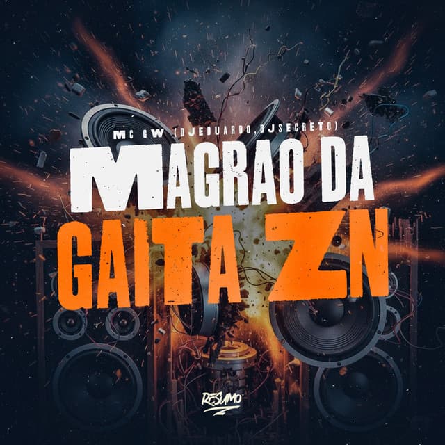 Magrão da Gaita ZN by Mc Gw, dj eduardo da favela do pó, DJ Secreto