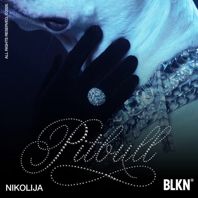 Pitbull by Nikolija