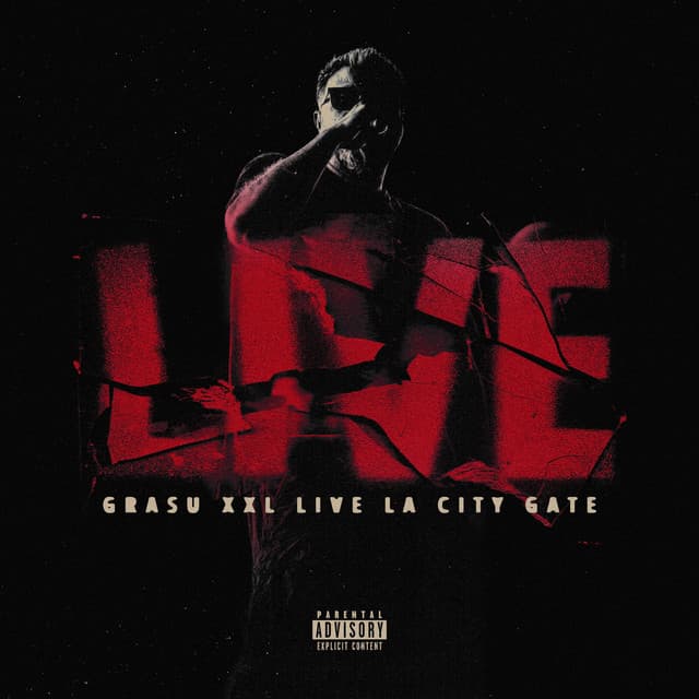 LIVE @ CITY GATE by Grasu XXL
