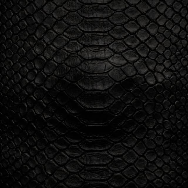 Reptiles by Airbag
