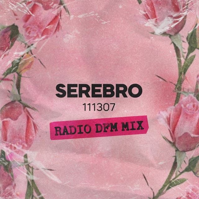 111307 (Radio DFM Mix) by SEREBRO, DFM