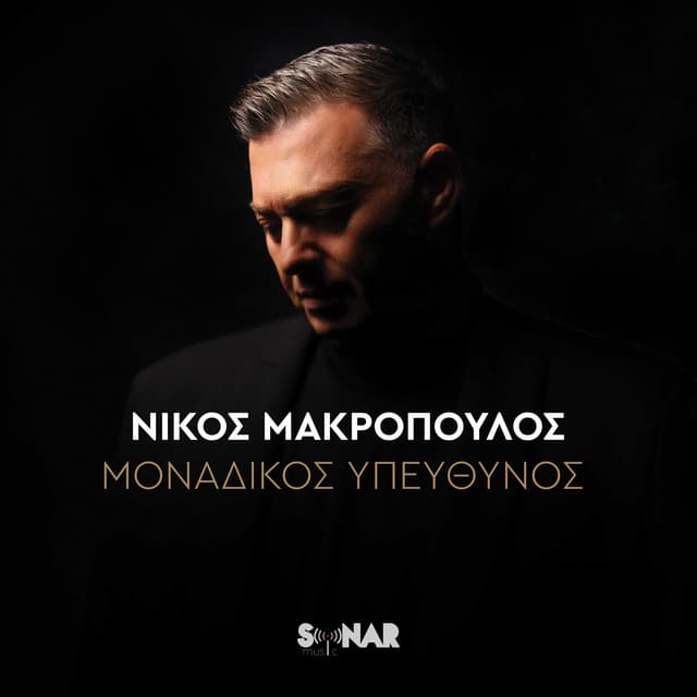 Monadikos Ipefthinos by Nikos Makropoulos