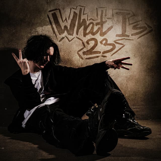 What Is 23? by Locked23