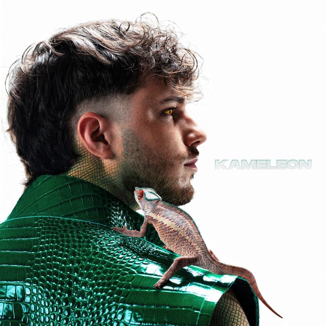 KAMELEON (Bruno) by Bruno X Spacc