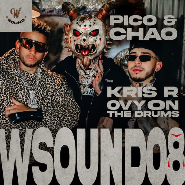Pico Y Chao (W Sound 08) by W Sound, Kris R., Ovy On The Drums