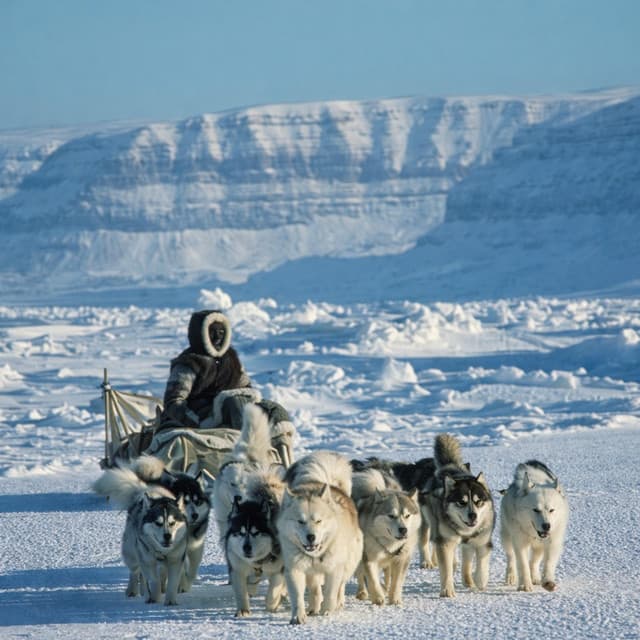 OGK4 by Sudrabu Sirds