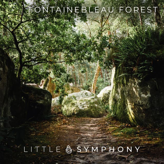 Fontainebleau Forest by Little Symphony