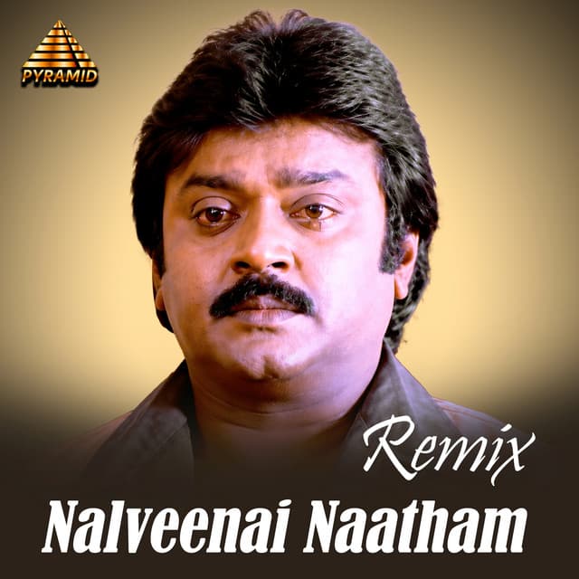 Nalveenai Naatham - Remix by Ilaiyaraaja, Ponnadiyan