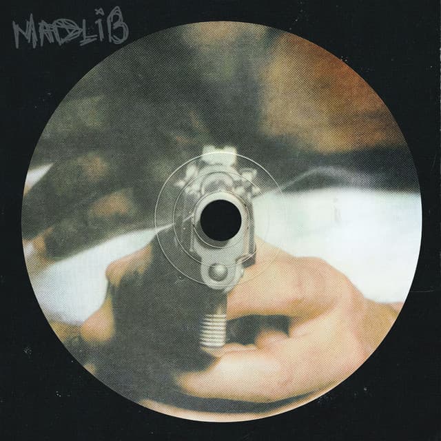Madlib (feat. Sleiken) by Hjorterud Allé