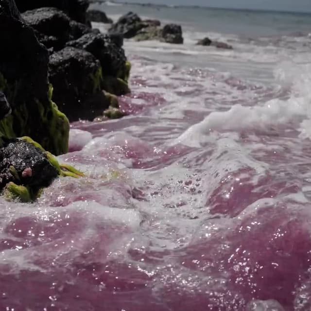 Not So Virgo of You by LUCKI