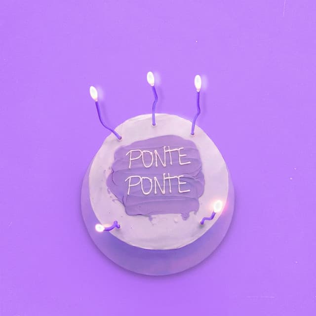 PONTE PONTE by Katteyes