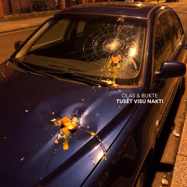 Tusēt Visu Nakti by OLAS, Bukte