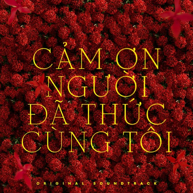 Cảm Ơn Người Đã Thức Cùng Tôi (Original Soundtrack) by Phùng Khánh Linh