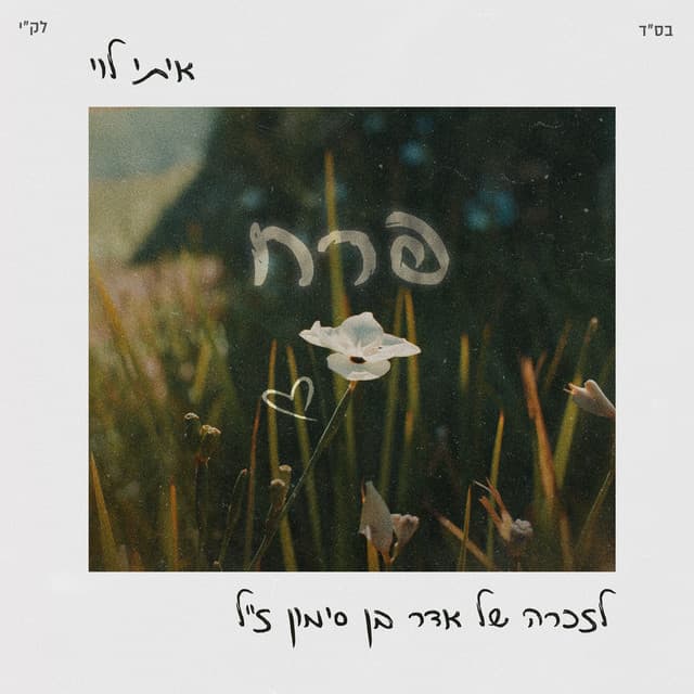 פרח by Itay Levi