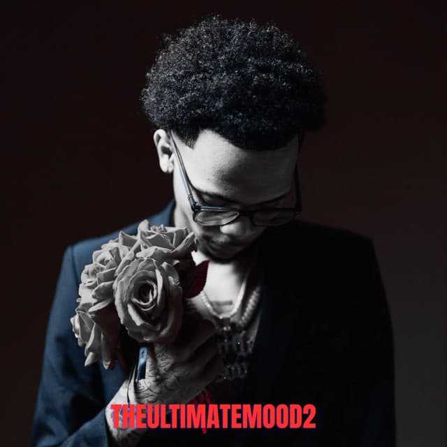 The Ultimate Mood Vol.2 by Little Loove