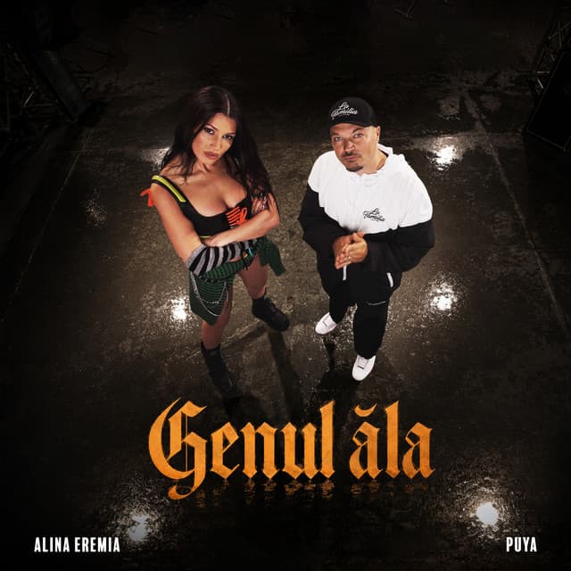 Genul ăla by Alina Eremia, Puya
