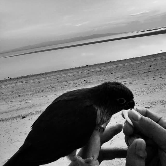 PORCELÁN by Ben Cristovao