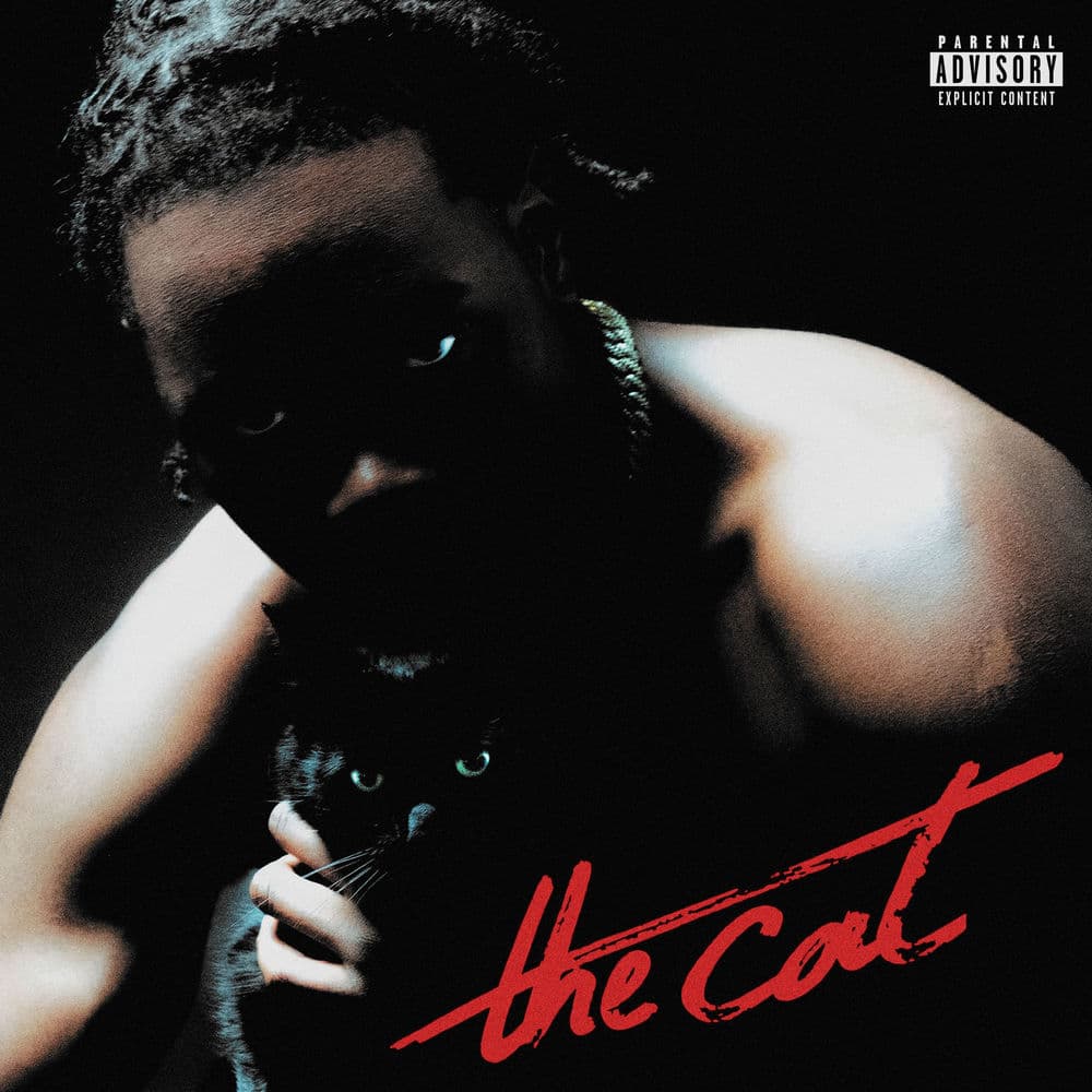 The cat by Nono La Grinta