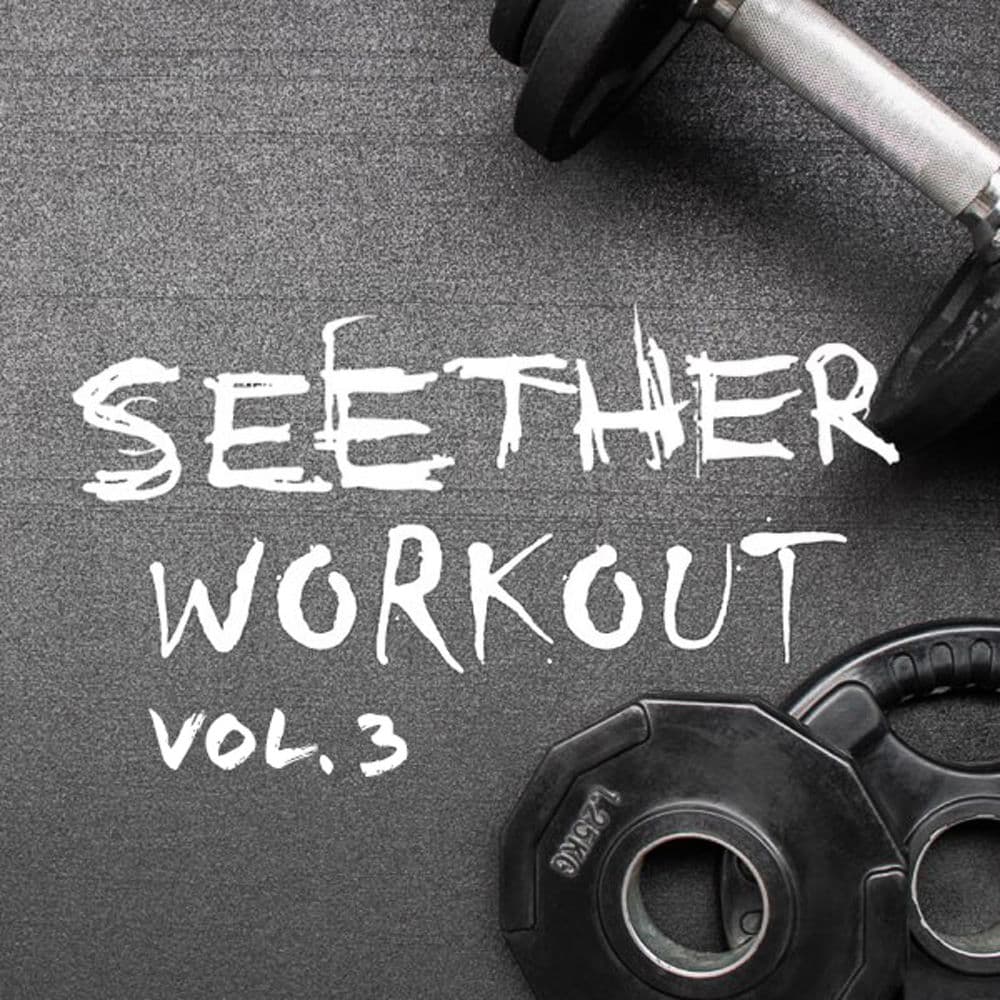 Seether Workout Vol. 3 by Seether